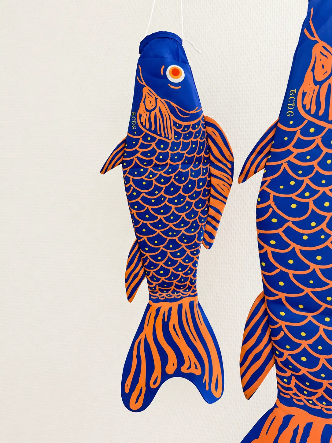 Close-up of the scales and fins of Écailles Bleues et Oranges