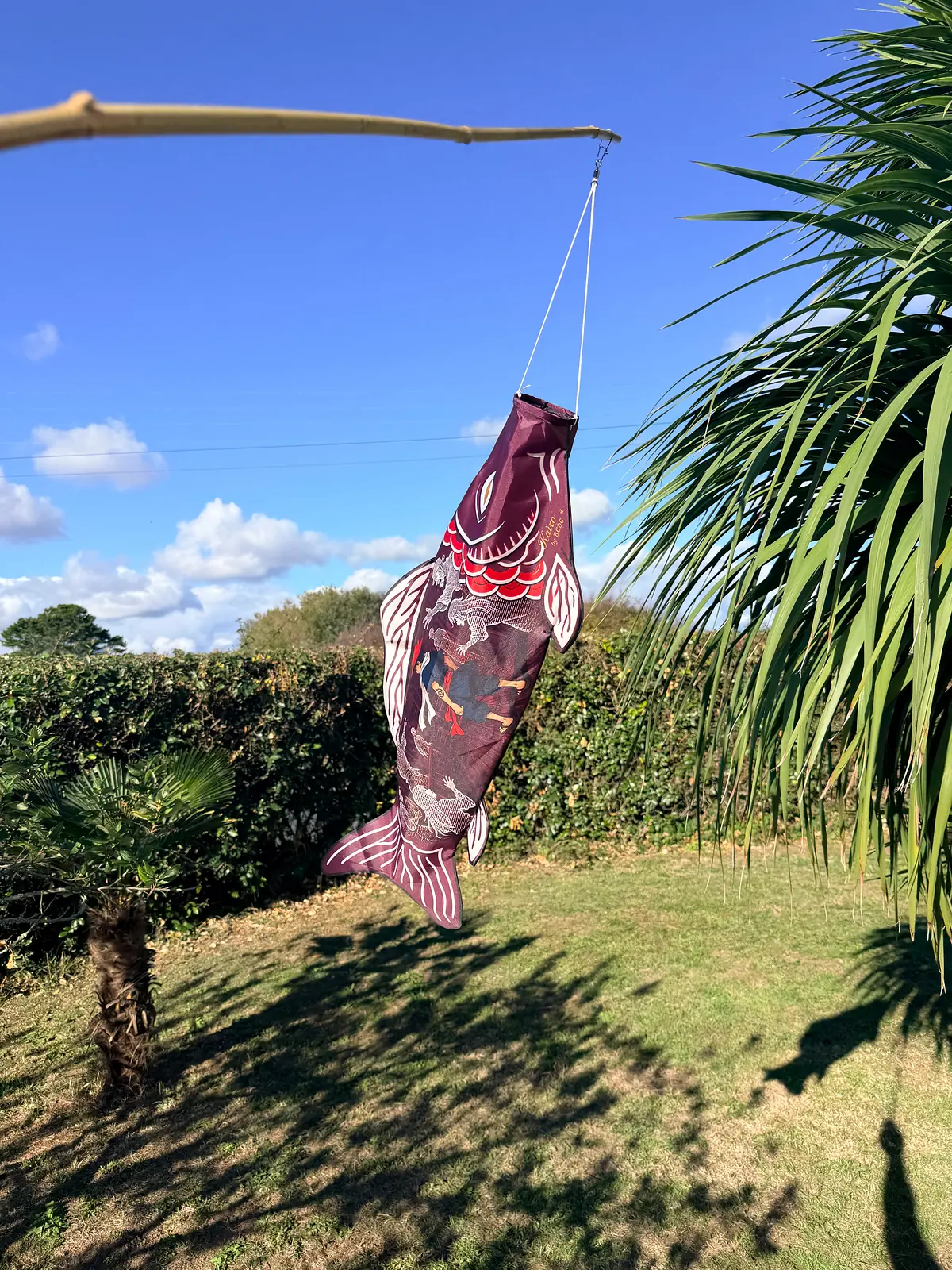 The Voices of the Deck, a Kaïro koinobori, flying in a garden between a hedge and a palm tree