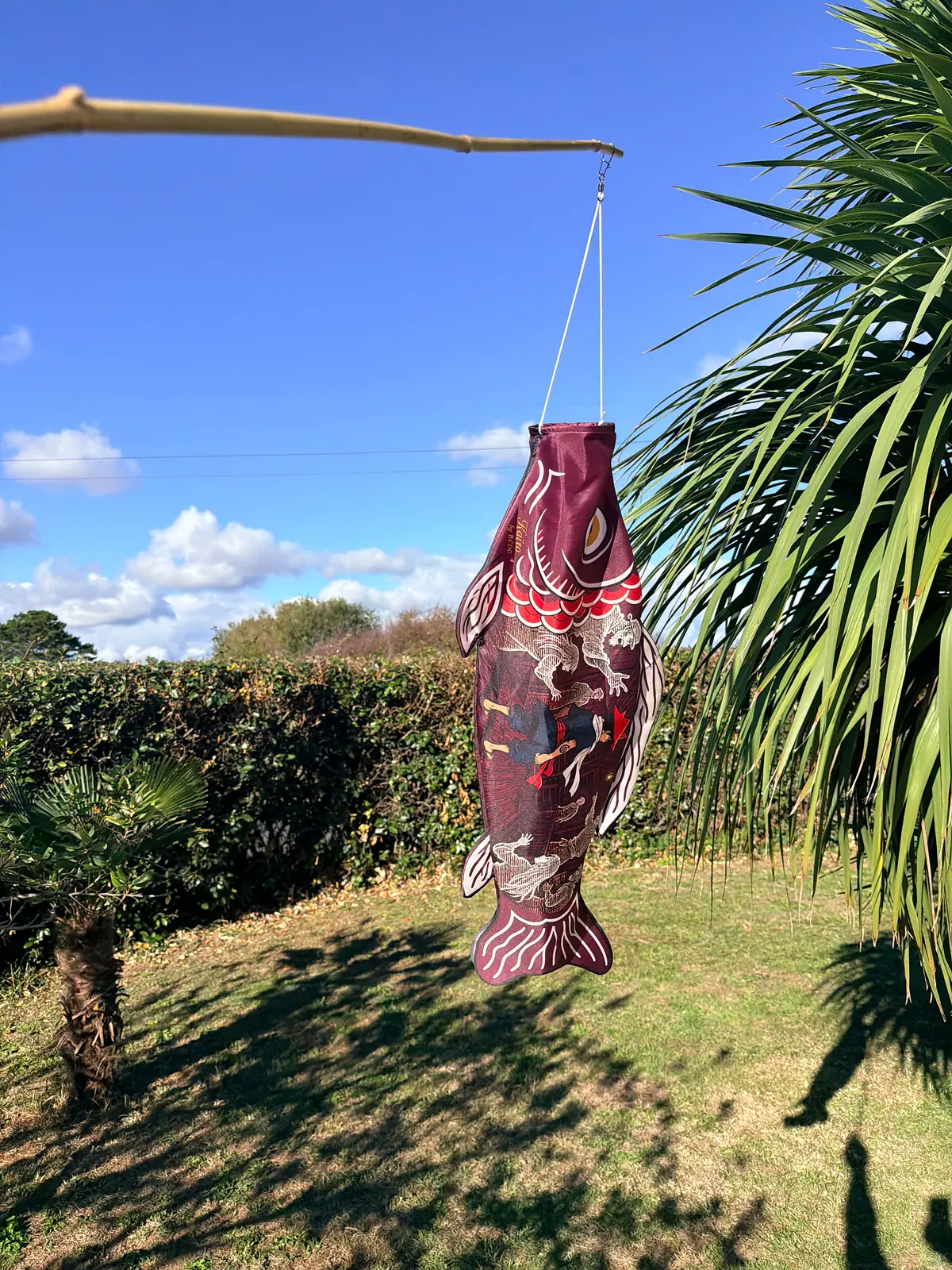 The Voices of the Deck hanging from a pole in the sun