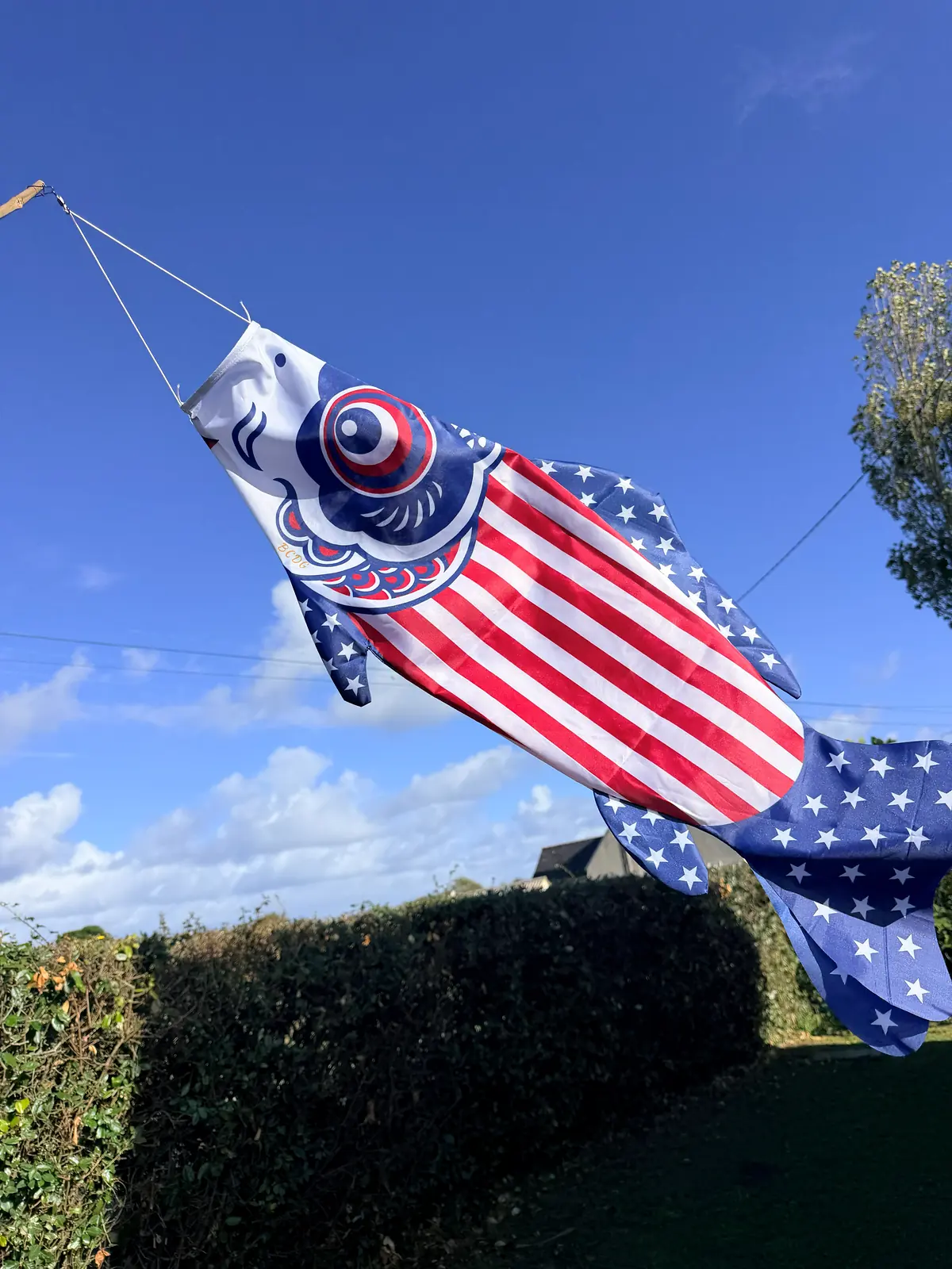 Stars & Stripes in the wind under a blue sky